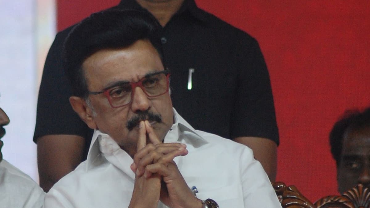 ஸ்டாலின் - திமுக