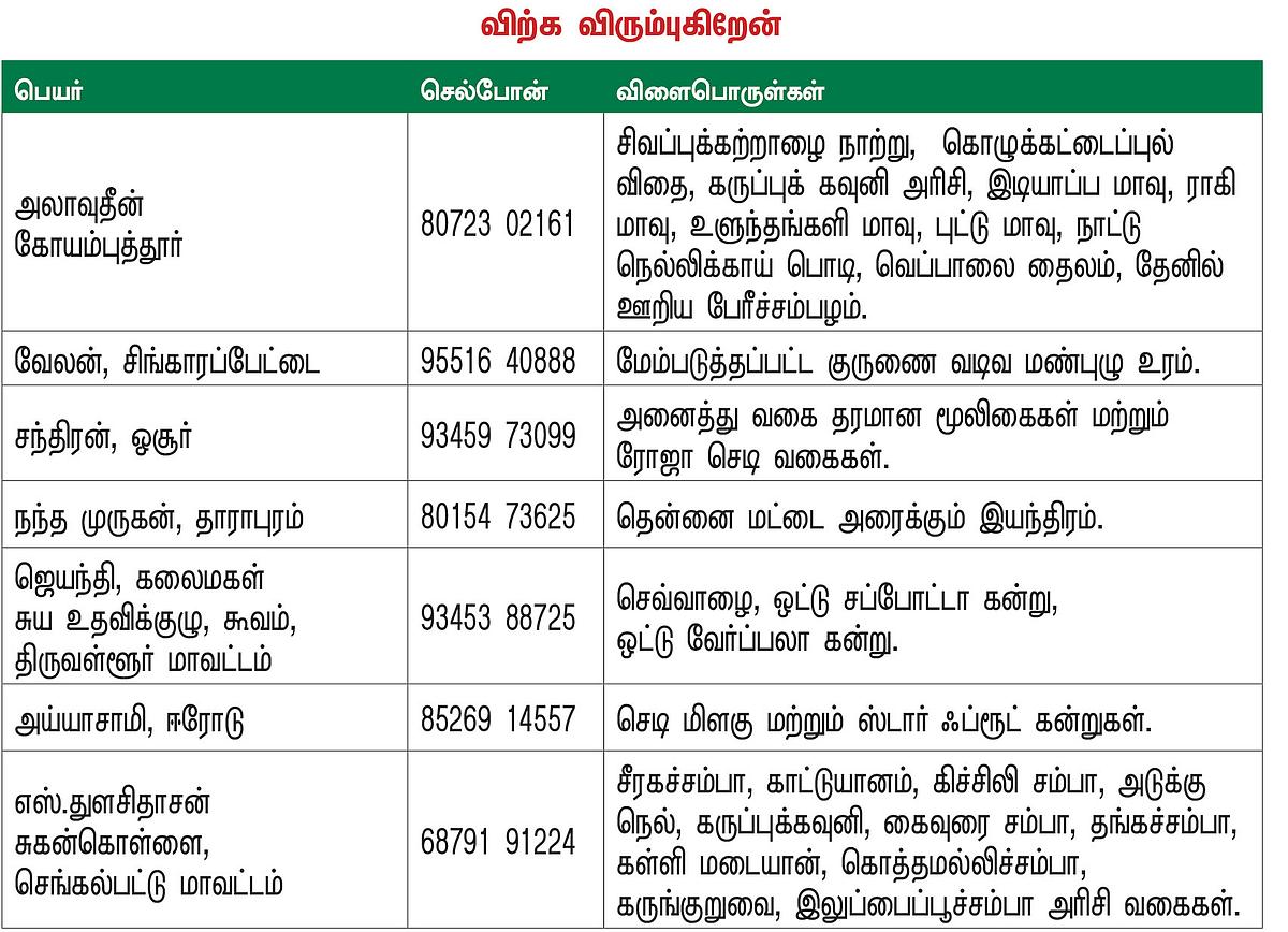 பசுமை சந்தை