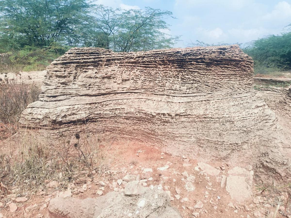இதுதான் முதன்முதலாக மேற்கொள்ளப்பட்ட கடல்சார் வேளாண்மை! - தொல்லியர் அறிஞர் ராஜேஷ்!
