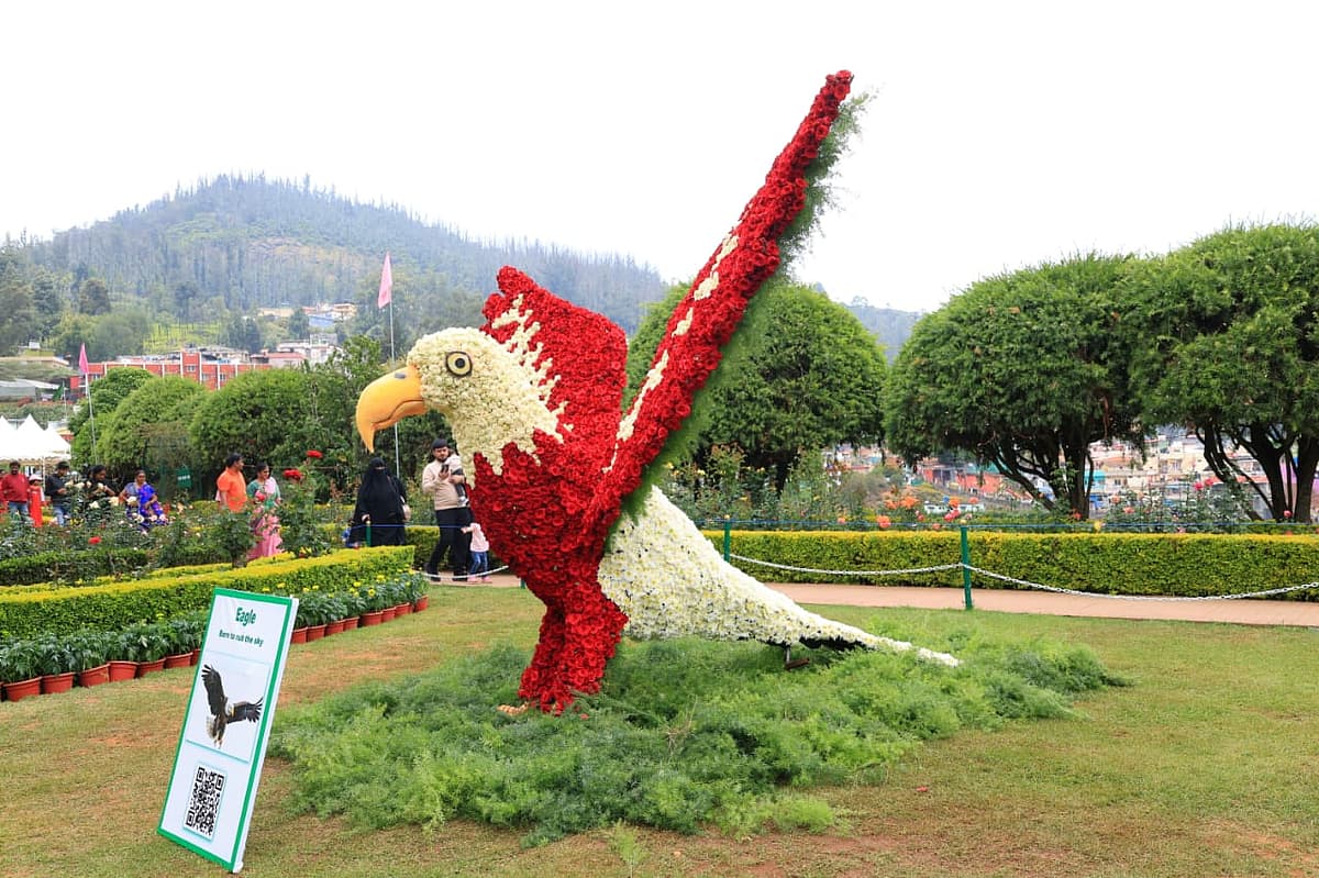 ஊட்டி ரோஜா கண்காட்சி