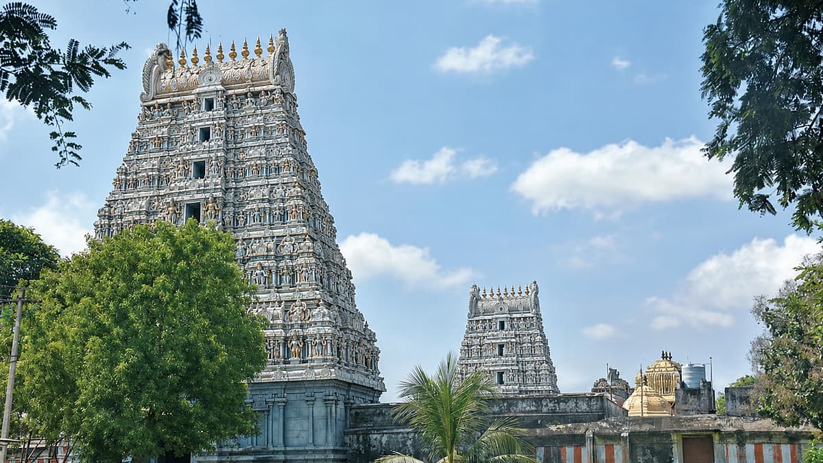 திருவிடைக்கழி முருகன் திருக்கோயில்