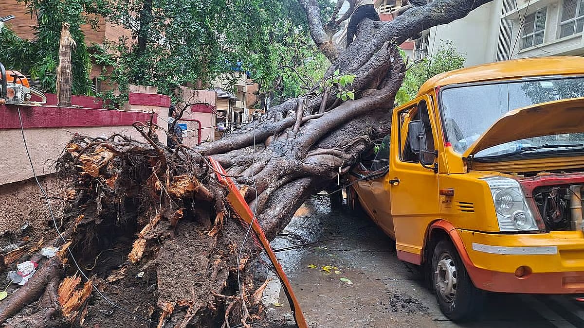 பள்ளி வாகனத்தில் விழுந்த மரம்