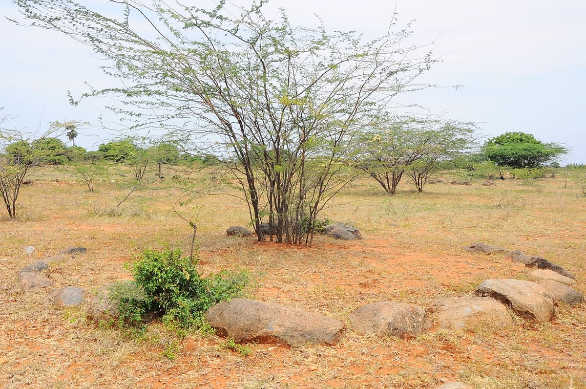 kal vattangal
