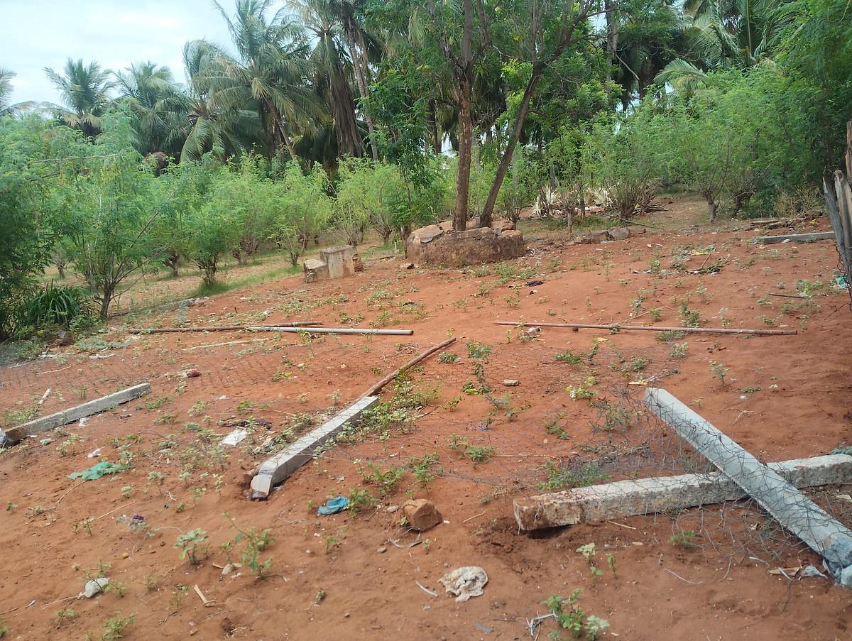 பனை விளை கிராமத்தில்பிய்த்து எறியப்பட்ட கம்பி வேலி