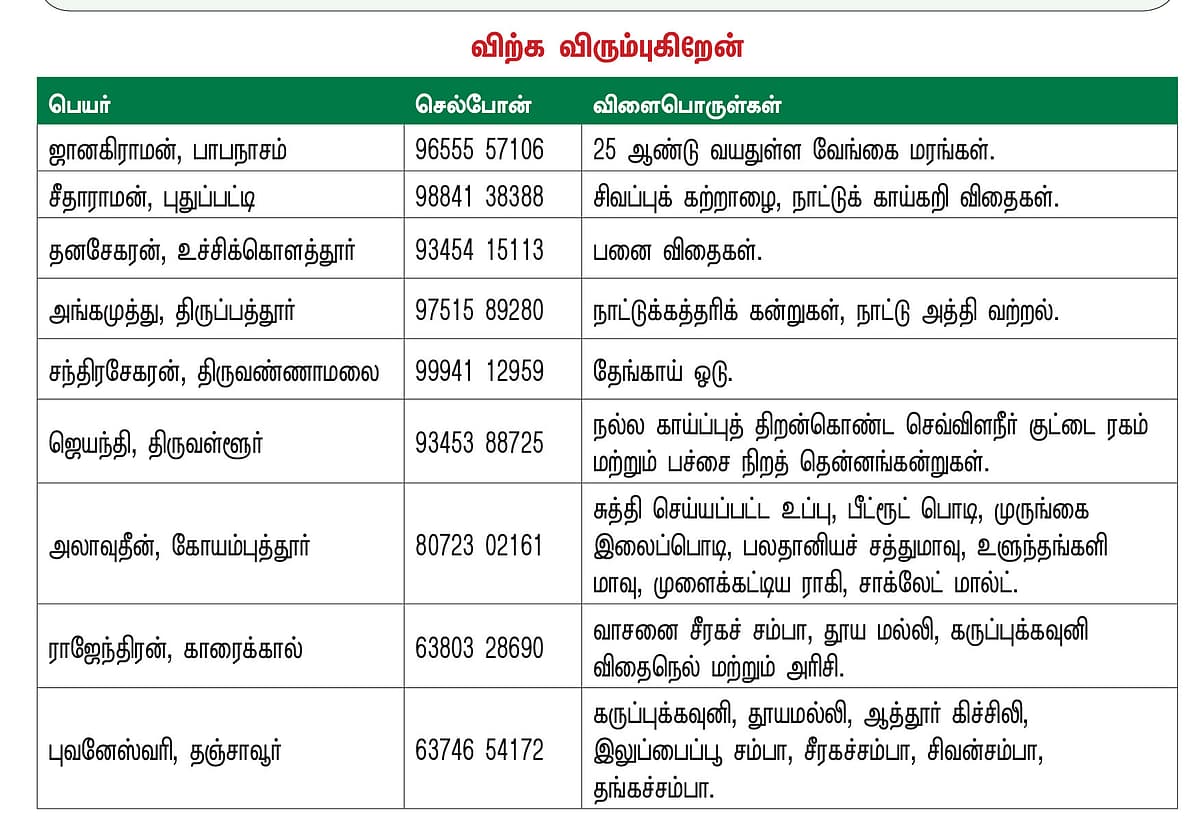 பசுமை சந்தை!