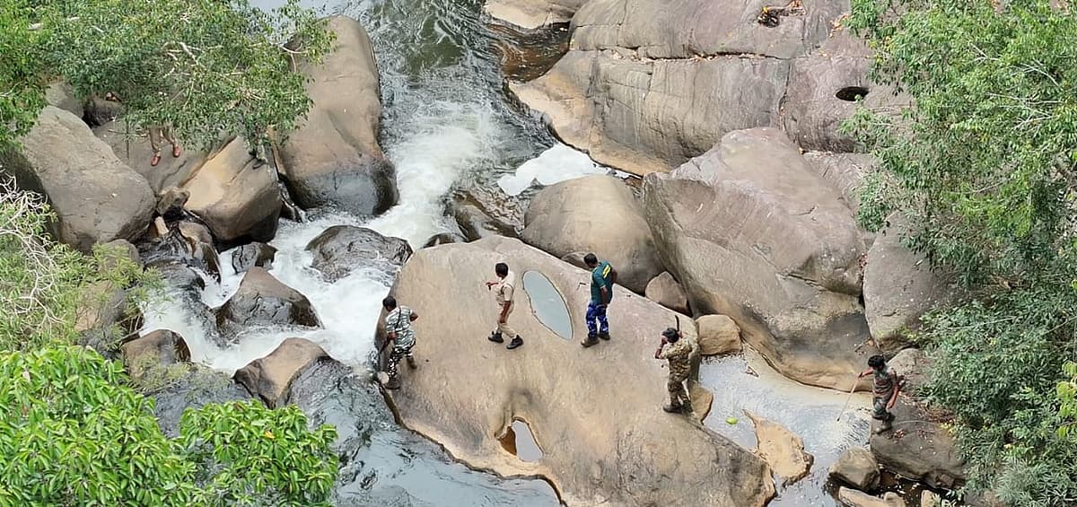 புலியை தேடும் பணி