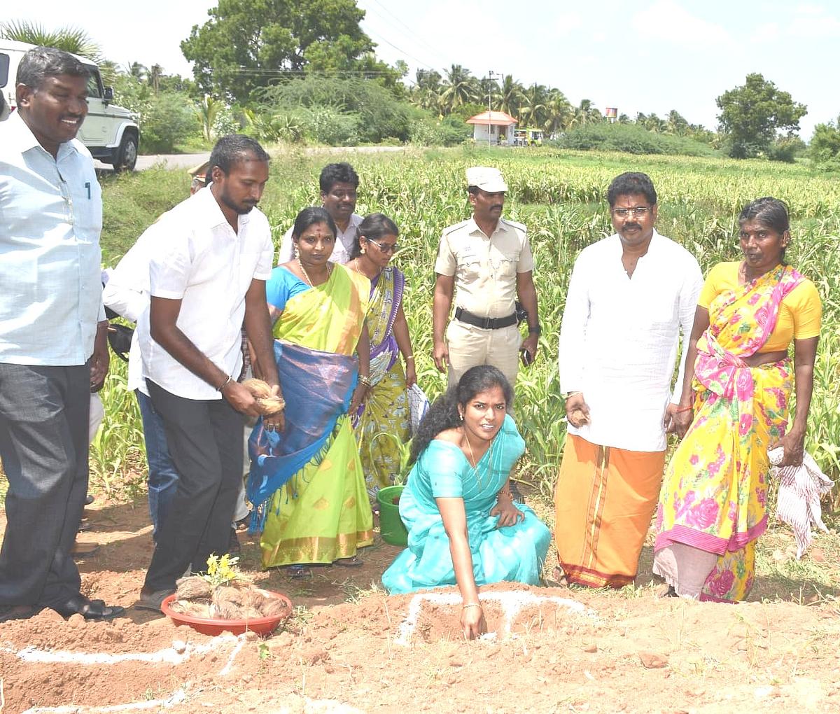 பனை விதைகள் நடும் பணி