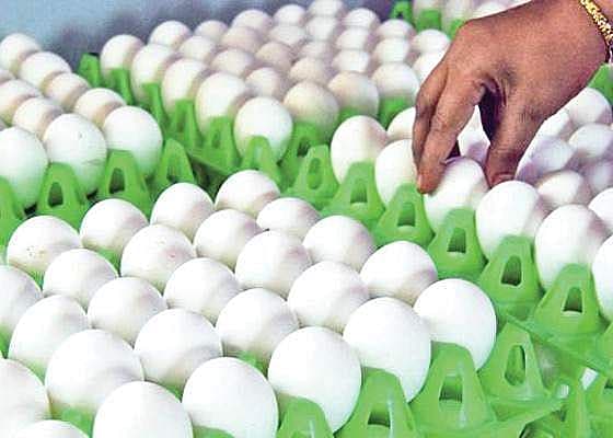 முட்டை - (கோப்பு படம்)