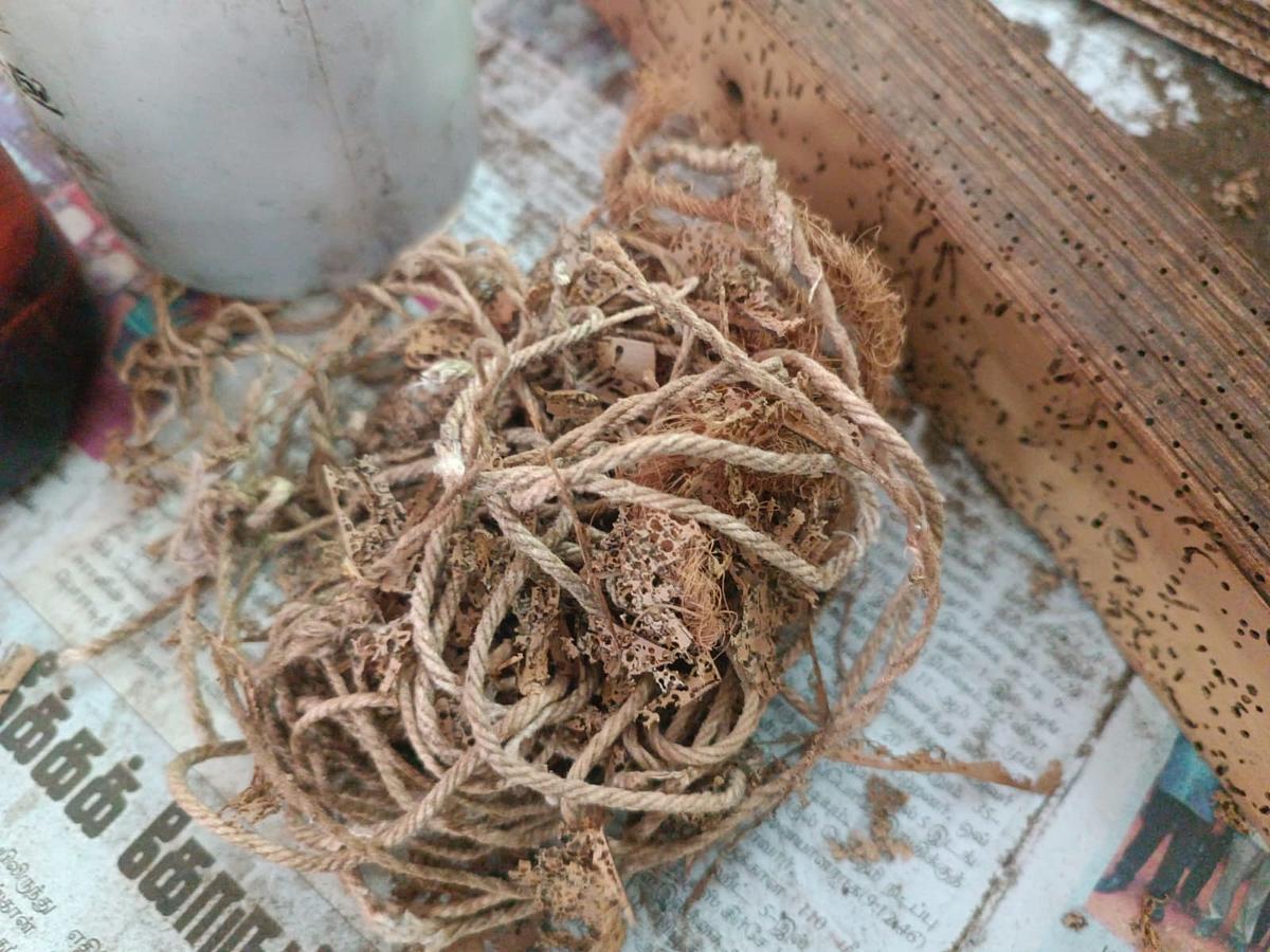 சுவடிகள்