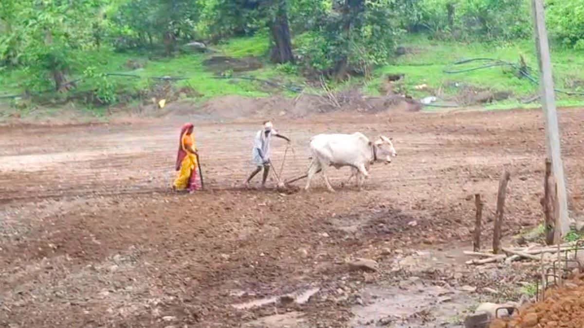 மகாராஷ்டிரா விவசாயிகள்