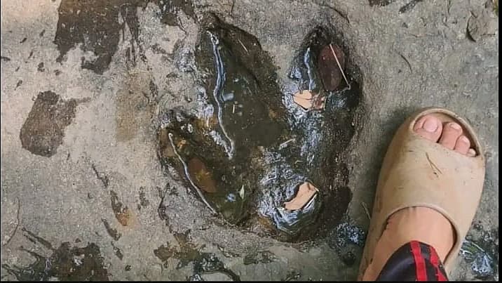 தாய்லாந்து
