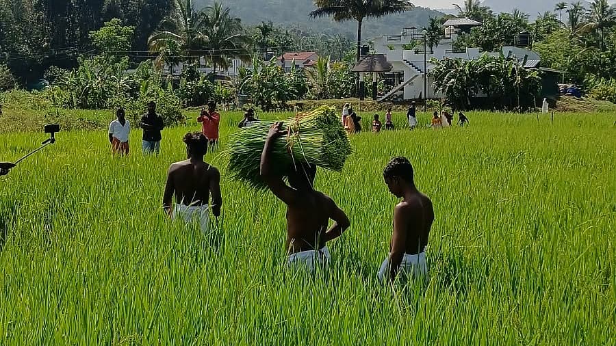 புது நெல் அறுவடைத் திருவிழா