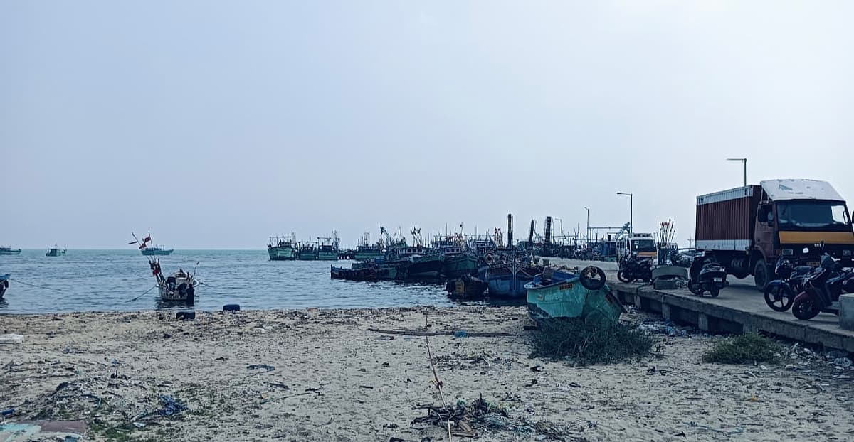 தருவைகுளம் மீன்பிடித்துறைமுகம்